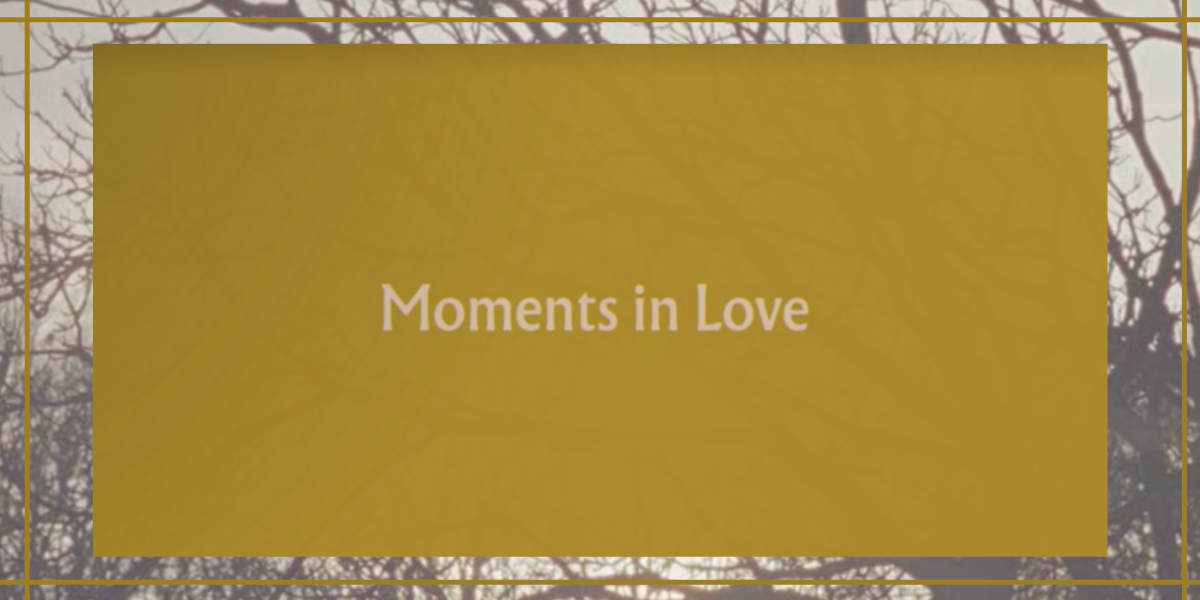 Image shows a yellow box with the text "Moments in love" inside it and behind it there is an image of branches.