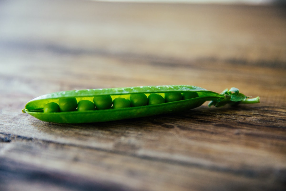 A close-up photo of an opened fresh pea pod. Peas are one of my favorite vegetables seeds to plant in May.