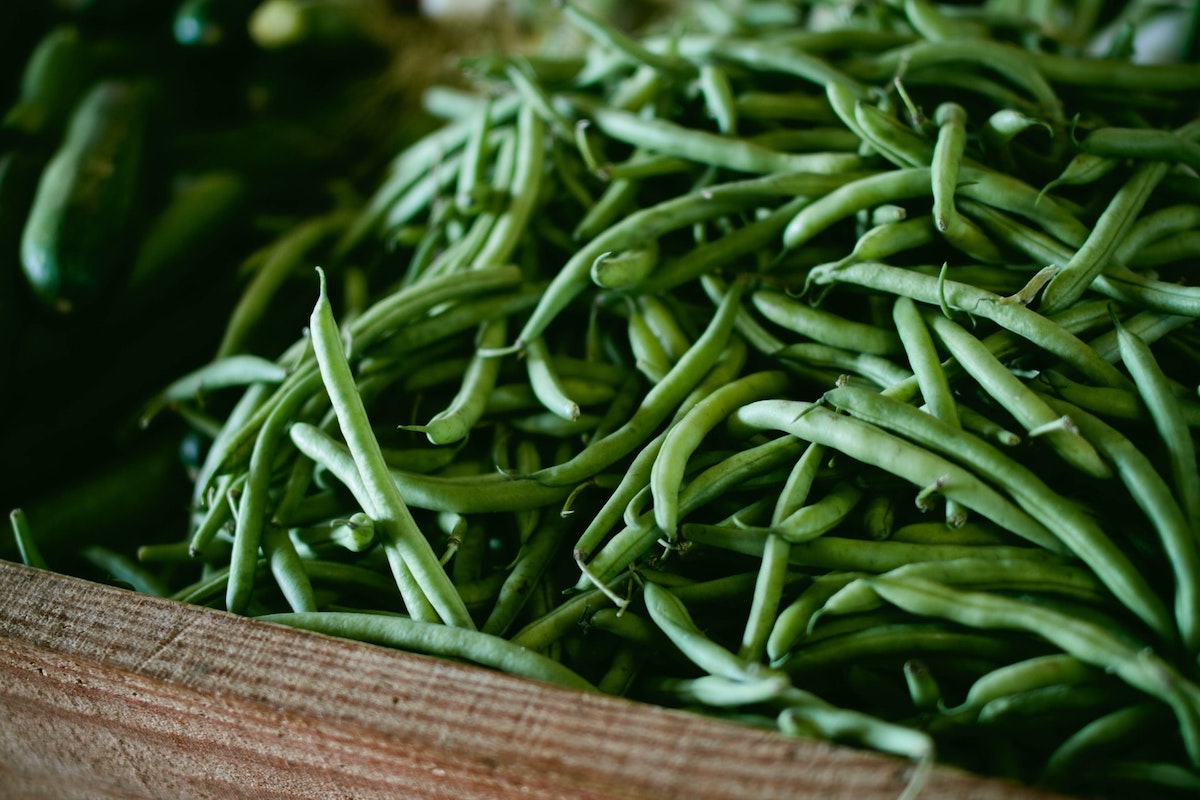 A close up photo of a basket of long green beans. Green beans are an excellent choice of vegetable for beginner gardeners.