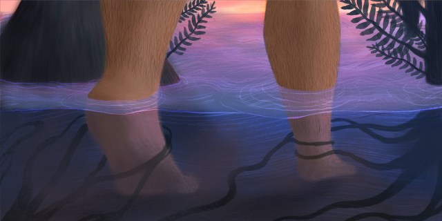 Two light brown, hairy legs walk through ankle-deep water containing seaweed and farms. A pink and purple sunset is visible in the background.