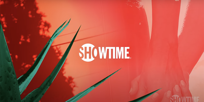 The L Word Generation Q Season 2 Trailer: The showtime logo over a pink background of two women holding hands and abstract leaves in the foreground