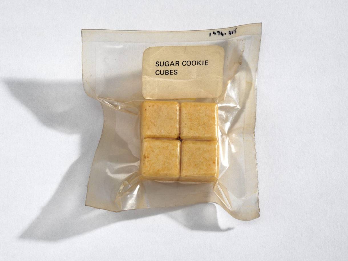 A clear plastic vaccum seal bag with four small cubes of light brown food in labelled sugar cookie cubes