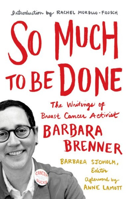 The cover of Barbara Brenner's SO MUCH TO BE DONE