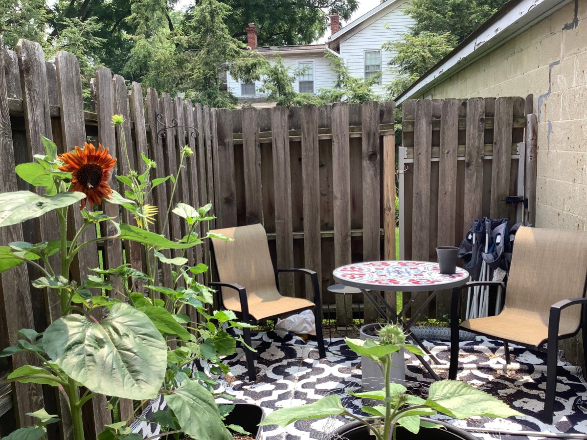 A backyard scene with a wooden picket fence, tiled deck, round table with two chairs, and plants all around the edges of the frame