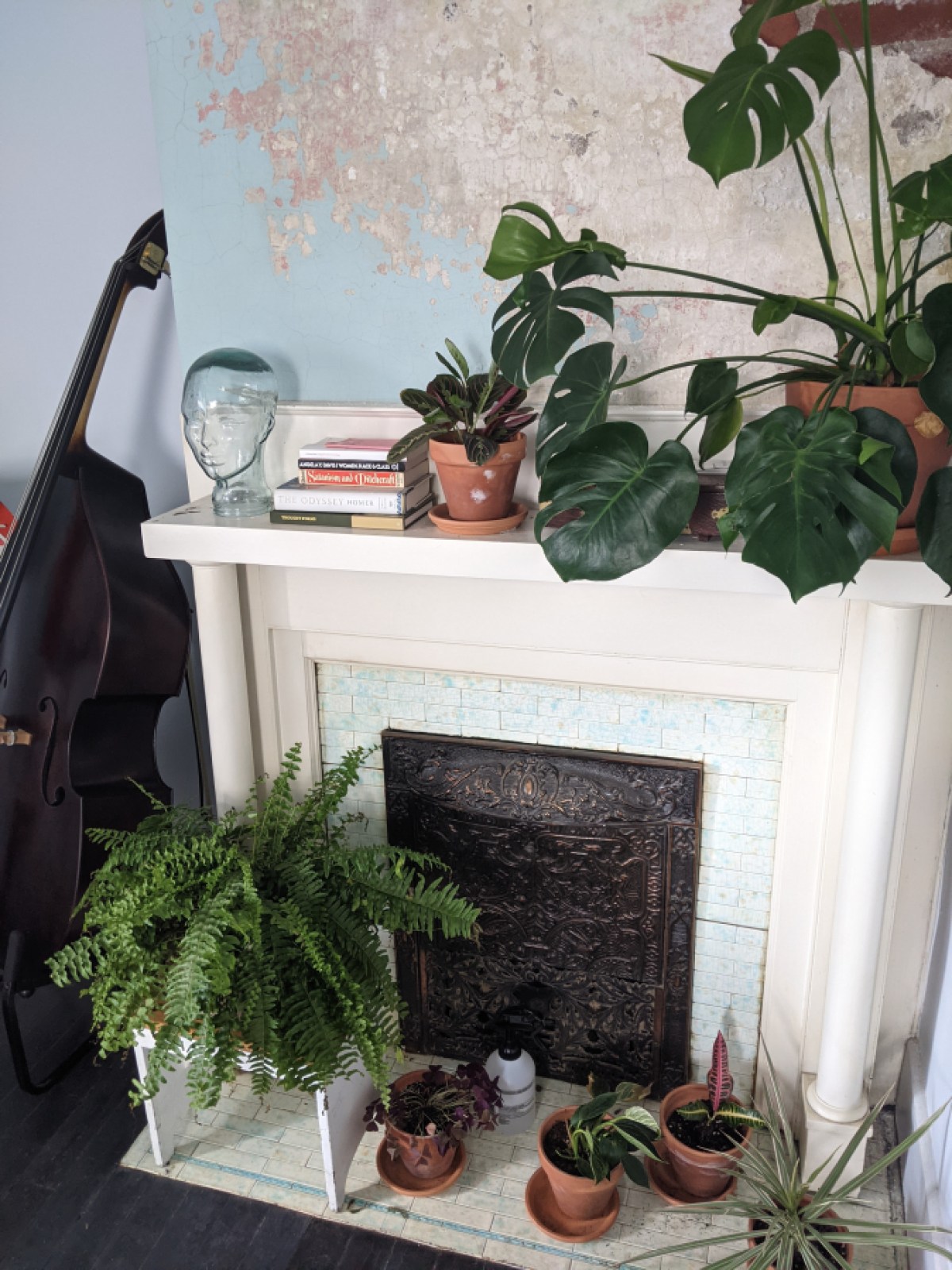 Restored fireplace with plants and books on the mantle