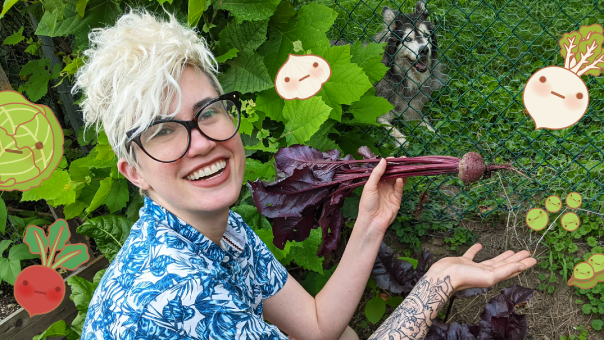 Plant These 14 Vegetables Now for a Fall Garden!