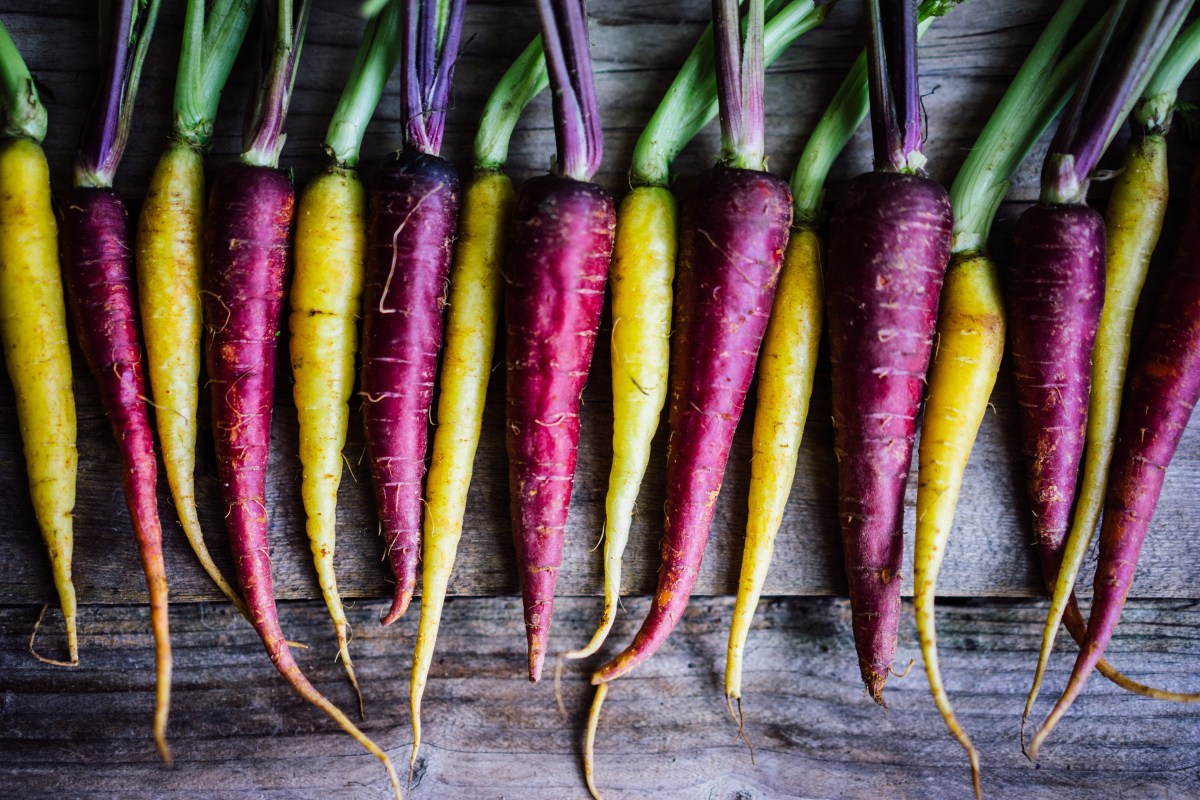 a line of alternating yellow and purple carrots