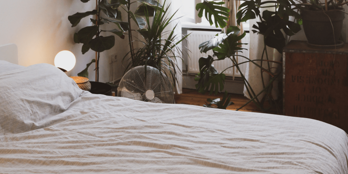 Image shows a white bedroom, with a beautiful made bed and the room is filled with plants.