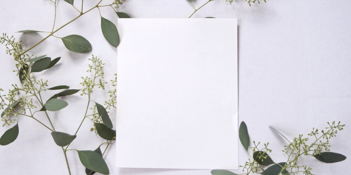 A blank white piece of paper against a white background is surrounded by small branches and leaves.