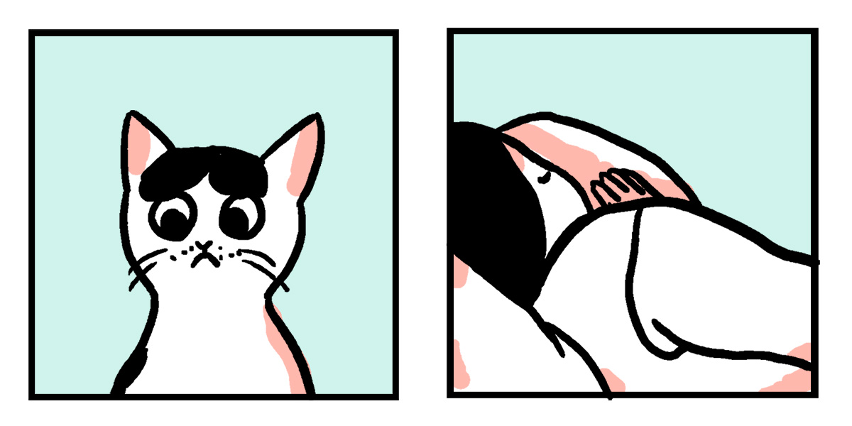 In a two panel comic in the colors teal blue, pink, and a white, a cat with large eyes stares at their human who is asleep.
