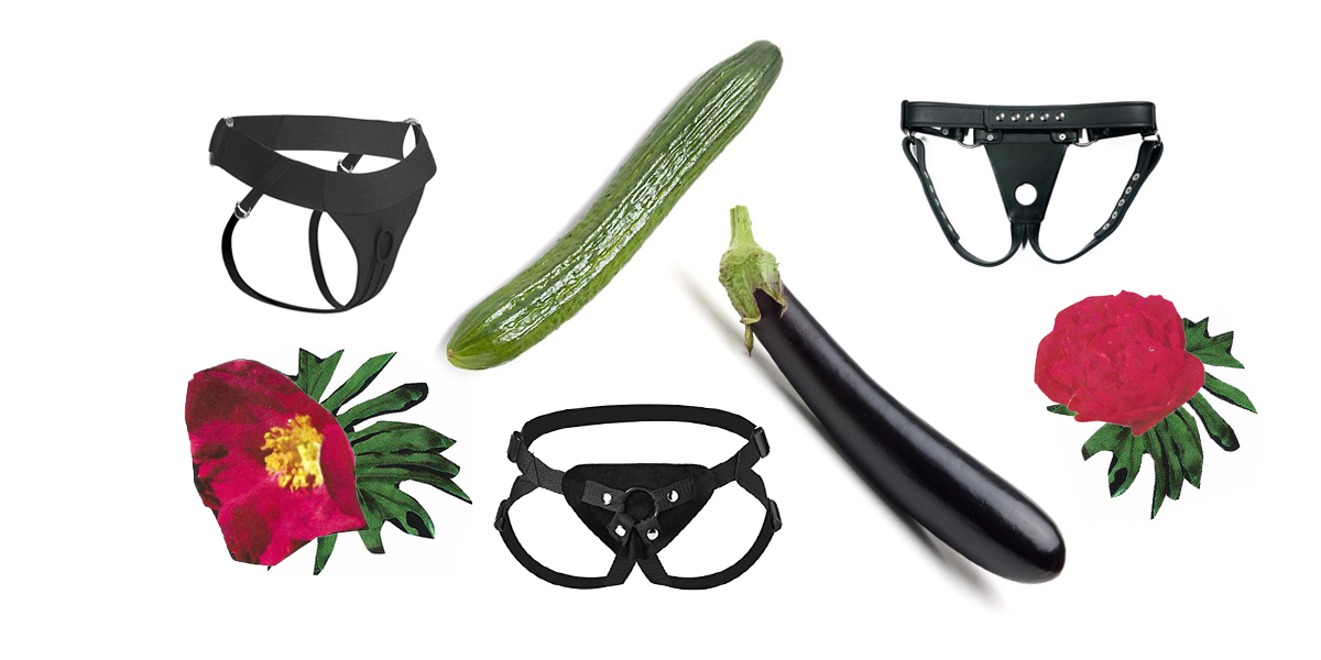 An image of Red Flowers, Black Harness and a cucumber and eggplant.