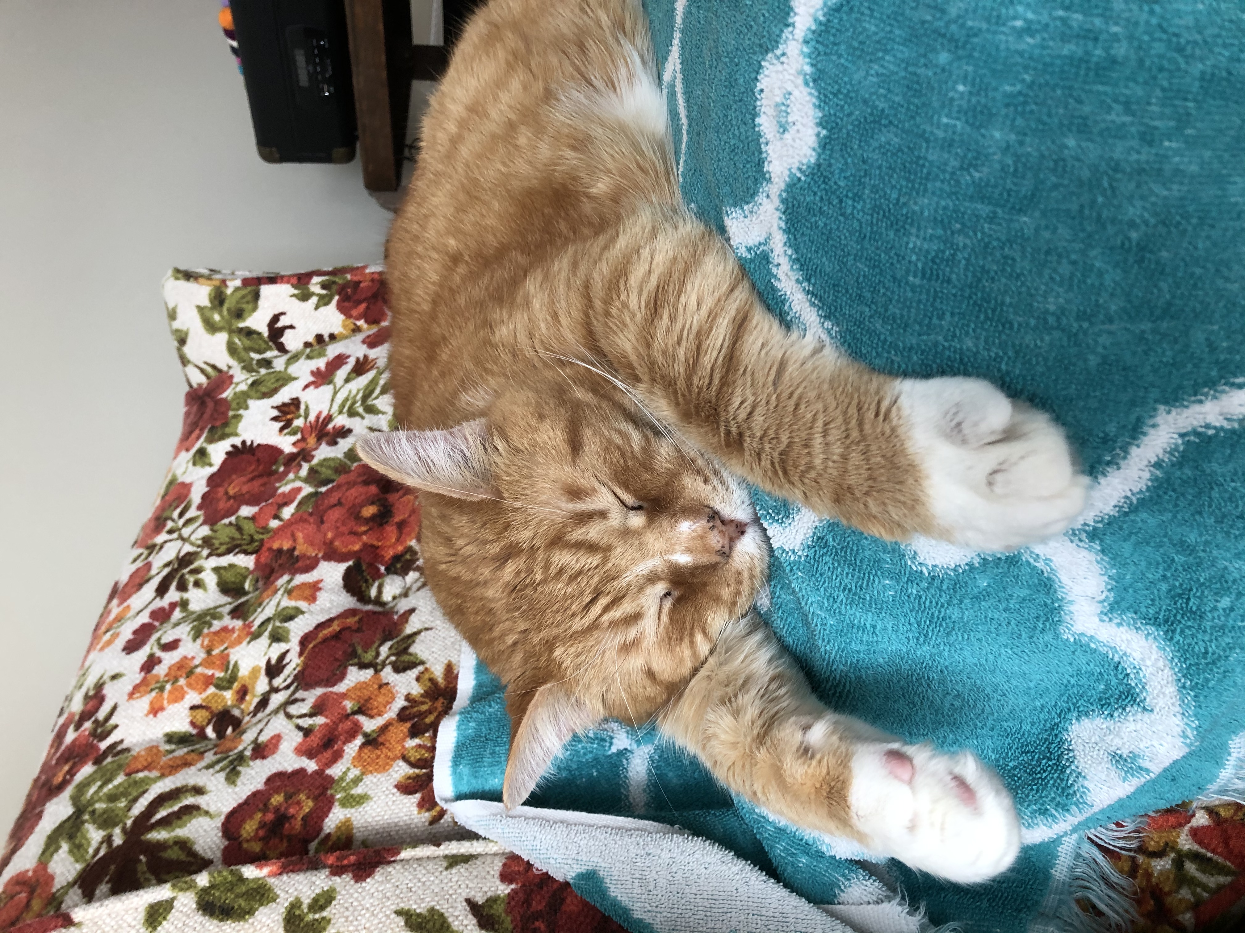 Profile picture of Eileen Elliott