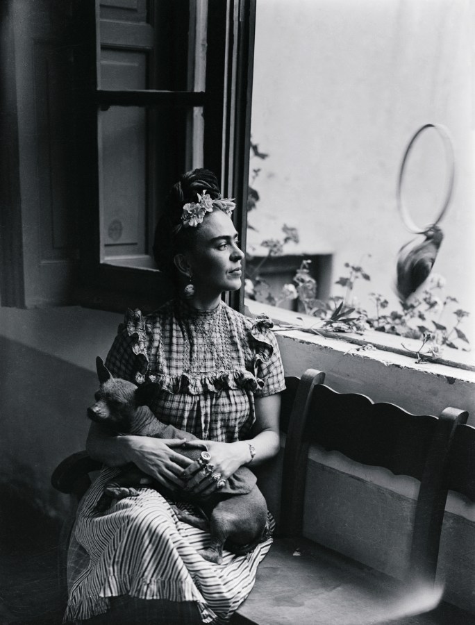 Frida Kahlo sits in a window seat holding one of her dogs, gazing out wistfully