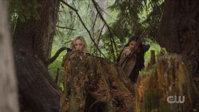 Sara and Spooner hunt with sticks