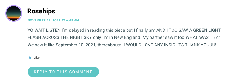 YO WAIT LISTEN I’m delayed in reading this piece but I finally am AND I TOO SAW A GREEN LIGHT FLASH ACROSS THE NIGBT SKY only I’m in New England. My partner saw it too WHAT WAS IT??? We saw it like September 10, 2021, thereabouts. I WOULD LOVE ANY INSIGHTS THANK YOUUU!