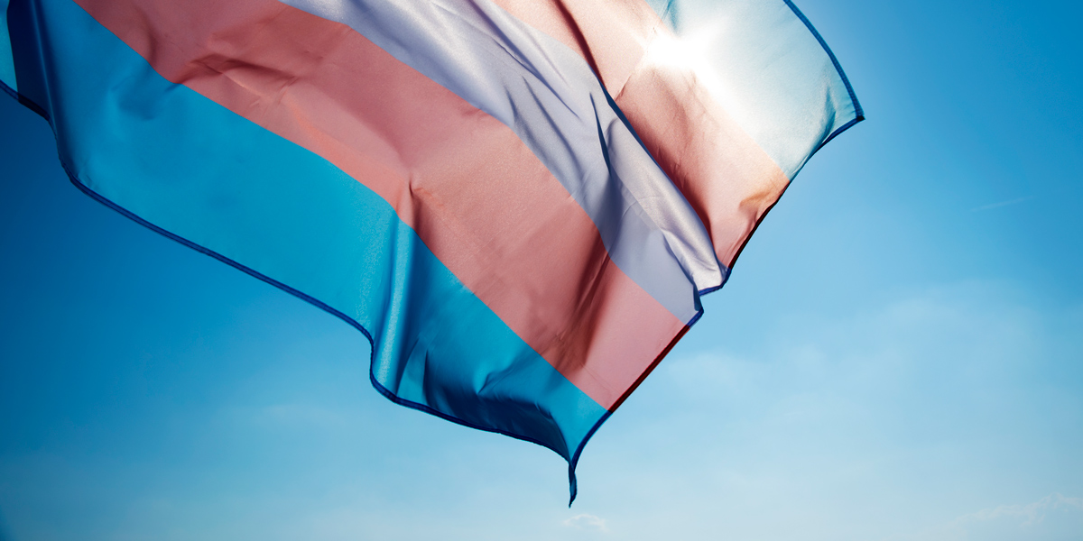 A close up of the trans pride flag