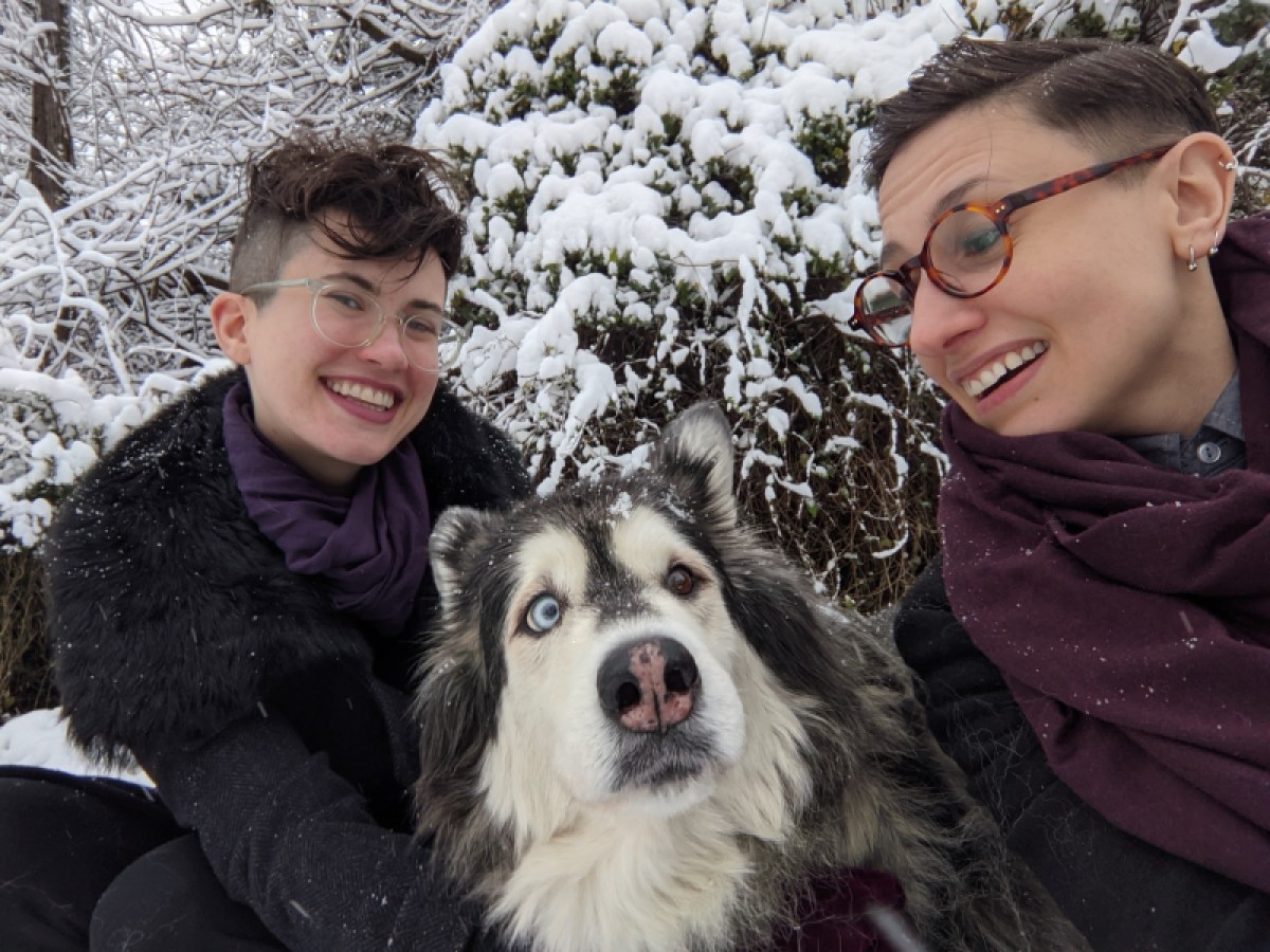 Here is Mya in an outtake from the Nicole-Sadie-Mya-household 2020 Christmas card photo shoot, hating being photographed, looking distressed by the whole situation even though she LOVES SNOW. Mya is a rescued malamute mix who is very fluffy and also 14 years old. She has one blue eye and one brown eye and big silly ears.