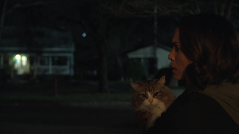 Jackie holds Daisy's cat, Ollie-Bollie, as she watches Frankie and his henchman leave. 
