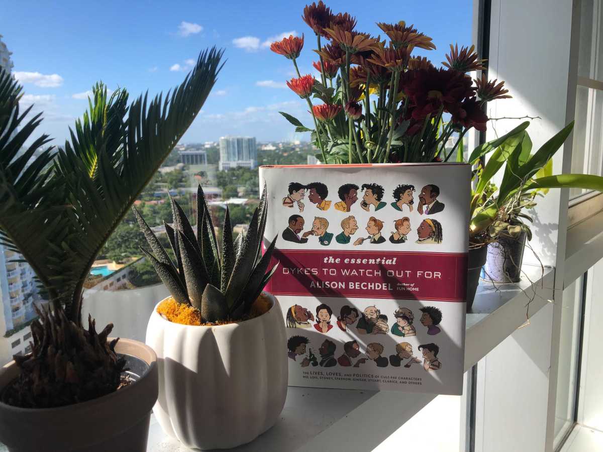 the essential dykes to watch out for on a shelf of plants and flowers in a window
