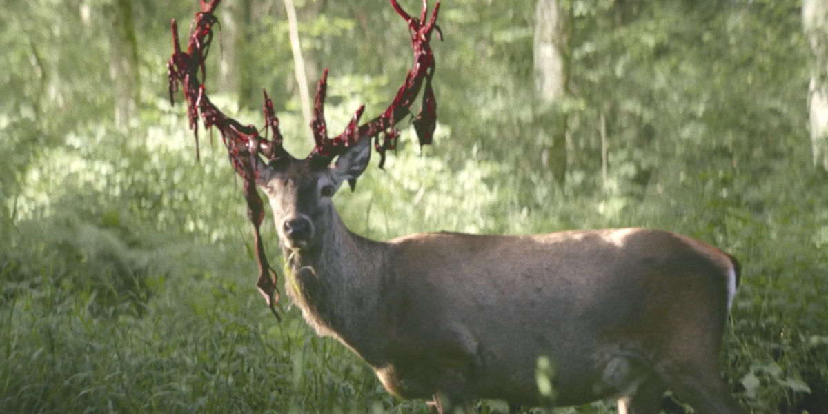 Yellowjackets 106 recap screenshot of a deer with bloody antlers