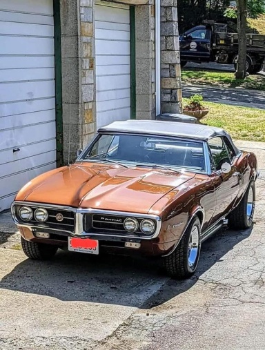 Profile picture of Rex’s Mom