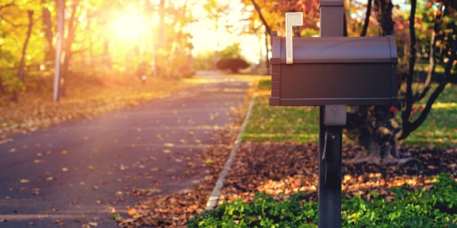 a country road with leaves on the ground, the sun setting in the background, and a single mailbox in the foreground