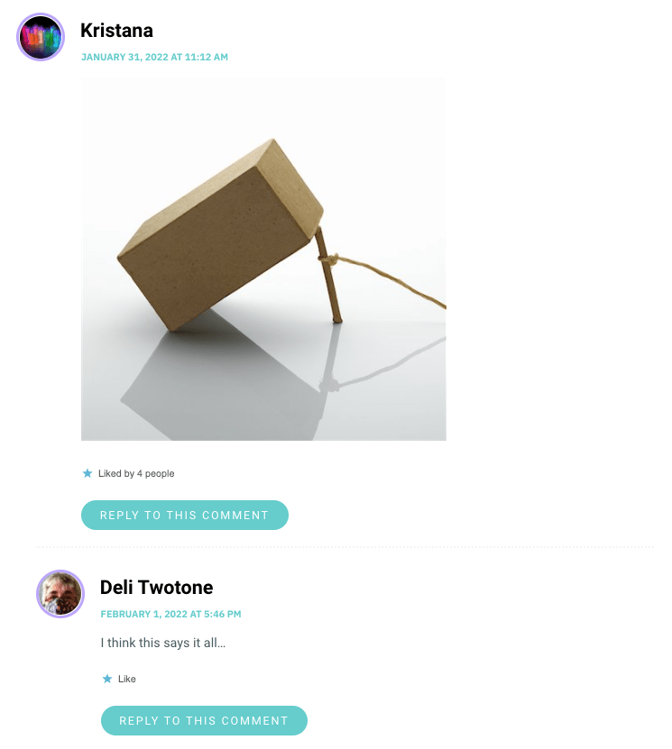 *A photo of a box propped up with a stick, makeshift trap fashion*