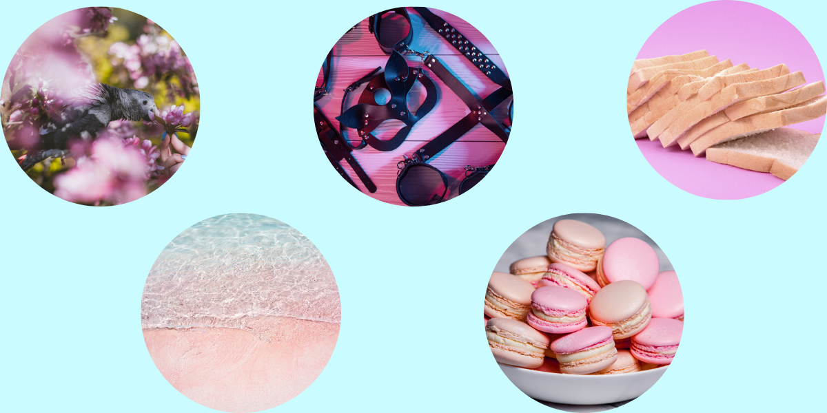 Photo 1: An African grey parrot is nestled in cherry blossoms. Photo 2: Black leather kink toys. Photo 3: A loaf of white bread is sliced. Photo 4: The ocean against pink-tinted sand. Photo 5: A pile of pink macarons