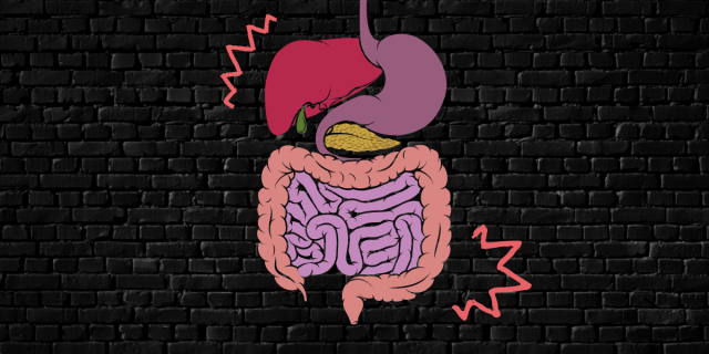on top of a black brick background sits an illustrated rendering of the stomach, liver, pancreas, large intestine and small intestine with little lines coming off to indicate excitement