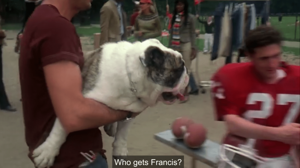 A white and gray bulldog named Francis is being carried like a baby