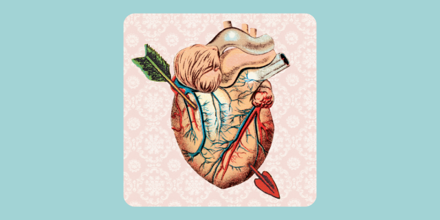 An anatomical heart with an arrow through it