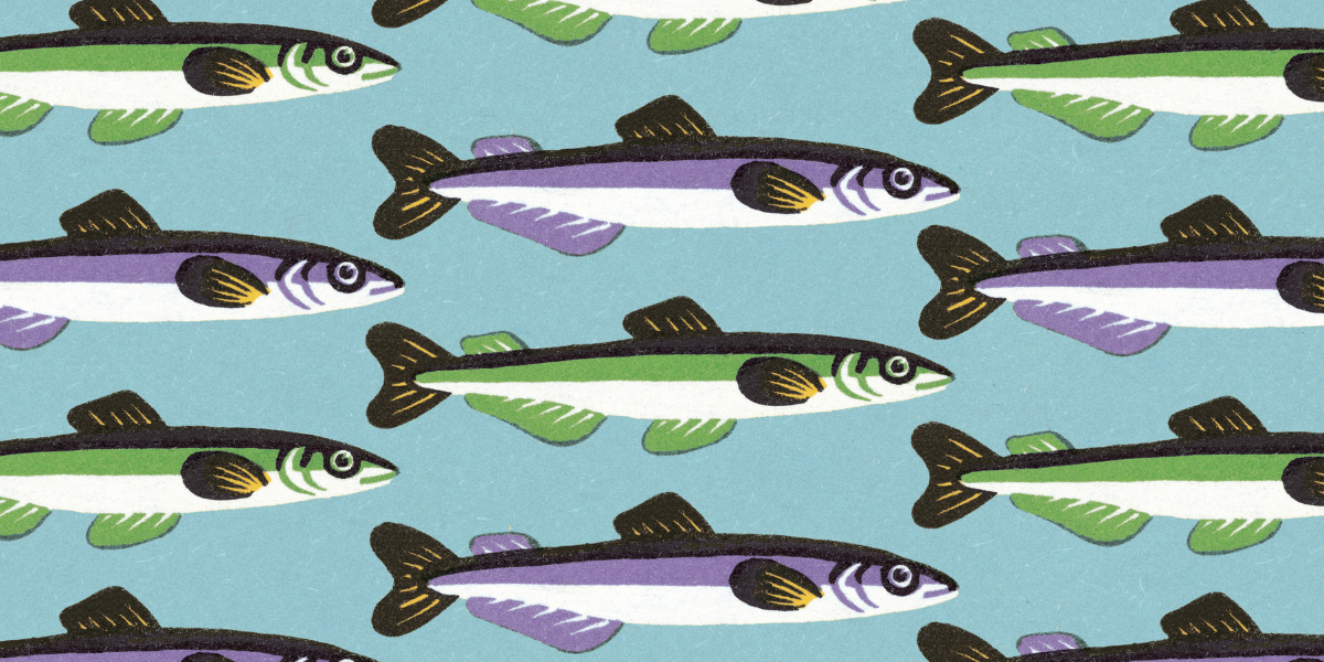 A pattern of illustrated sardines in green and purple against a blue background