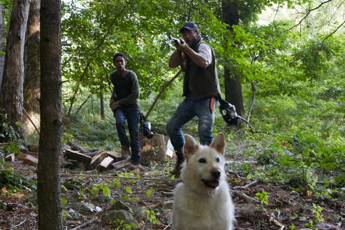 white dog in the woods in "comes at night"