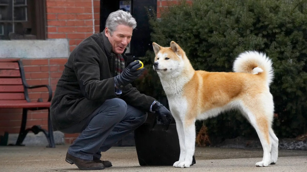 Hachi a dogs tale - richard gere with his cute dog