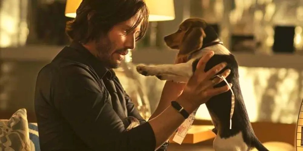 Keanu Reeves looking at his cutie dog