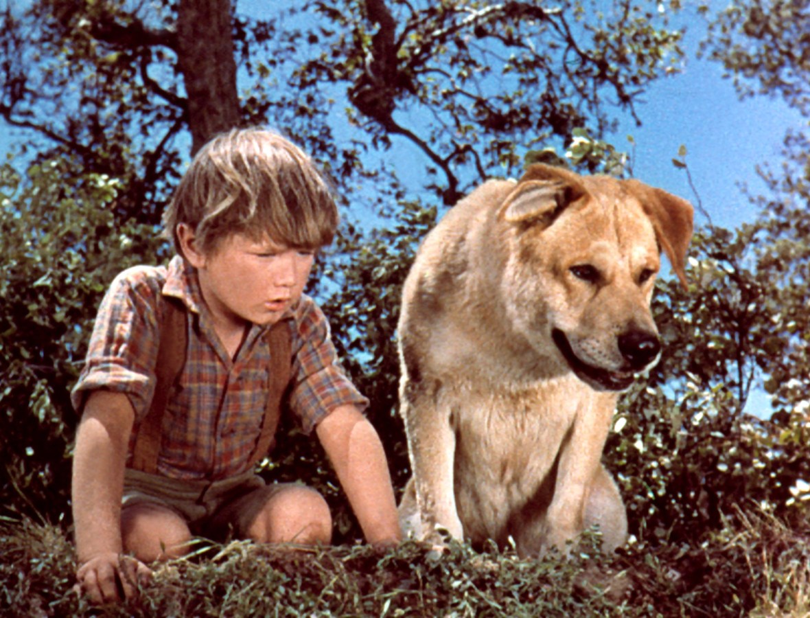 Old Yeller and his owner