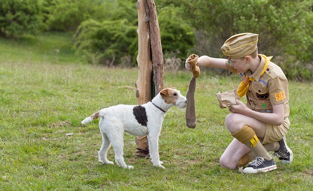 Snoopy in Moonrise Kingdom