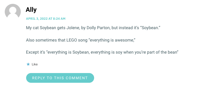 My cat Soybean gets Jolene, by Dolly Parton, but instead it’s “Soybean.