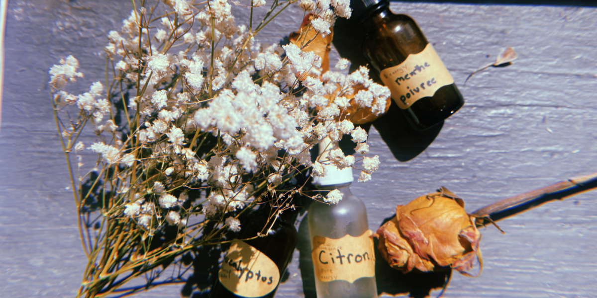 oils in bottles surrounded by dried florals