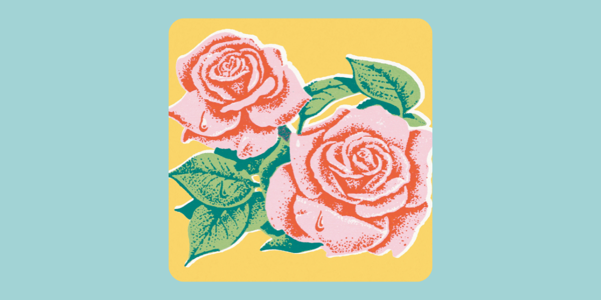 Two illustrated pink roses against a blue background