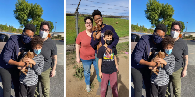 Photo 1: a Black woman in a navy blue mask leaning into a little boy in a mask wearing a striped shirt holding a puppy with a white woman in a mask standing behind. Photo 2: a Black woman in glasses holding a small puppy, a white woman in glasses, a young boy in a black tee shirt. Photo 3: a Black woman in a navy blue mask leaning into a little boy in a mask wearing a striped shirt holding a puppy with a white woman in a mask standing behind.