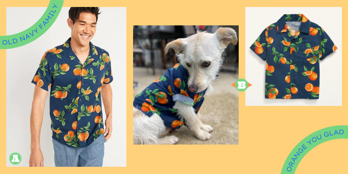 A collage of three images. Picture A is an Asian model wearing a button-up shirt in dark blue, printed with oranges and green leaves. Picture B is my small white dog, Milo, wearing the toddler version of the same t-shirt, with the sleeves rolled up. Picture C is Old Navy’s official picture of the toddler sized shirt.
