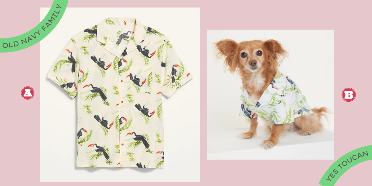 A collage of two images. Photo A is a men’s button-up printed with black toucans with red beaks, and green palm fronds. Photo B is the same shirt, made for a dog. A small orange dog is wearing the shirt and looking at the camera.