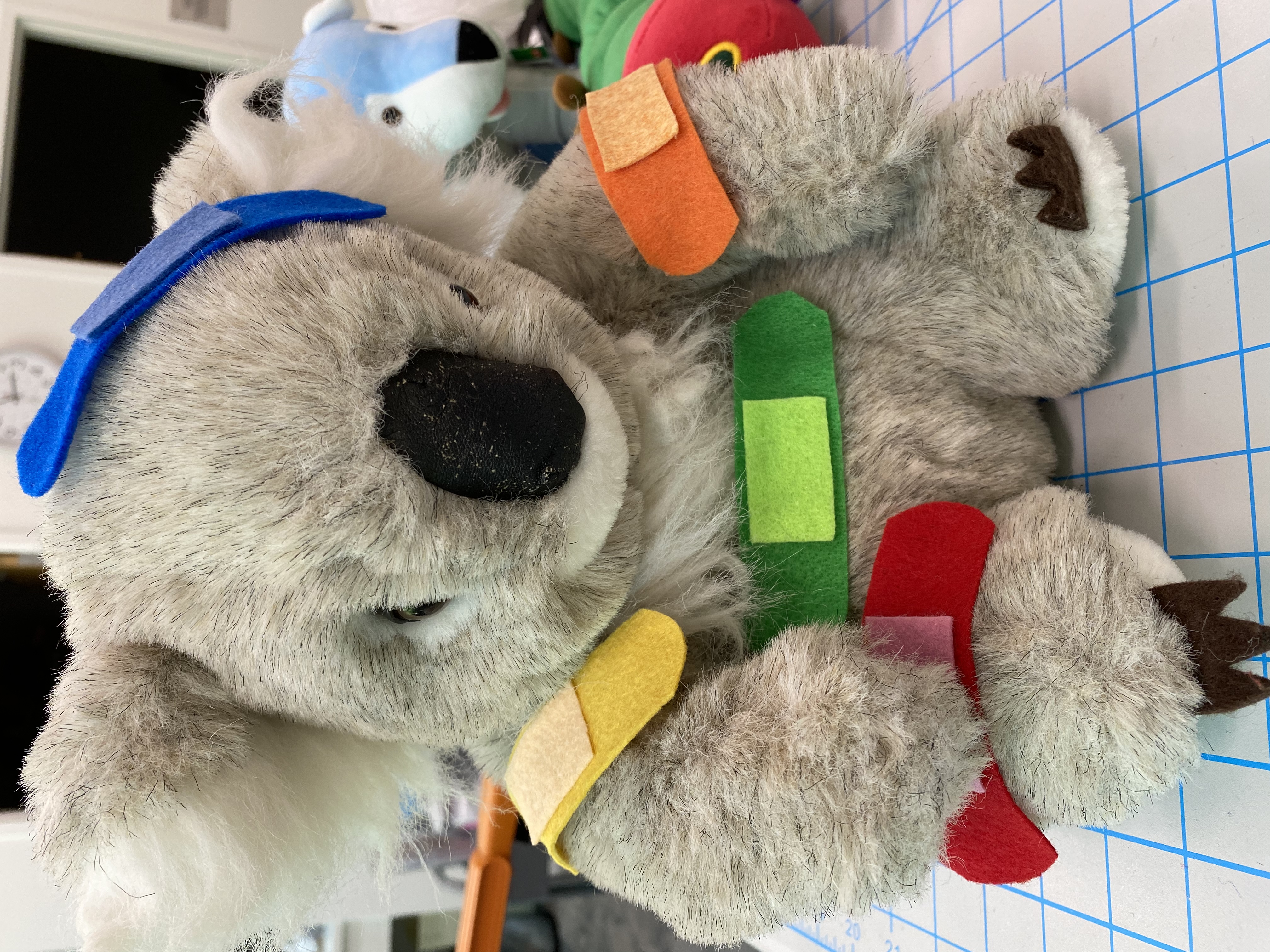 Profile picture of Liz A