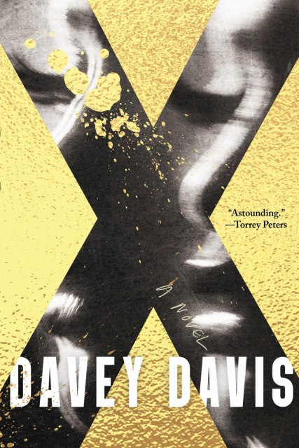 the book cover of X