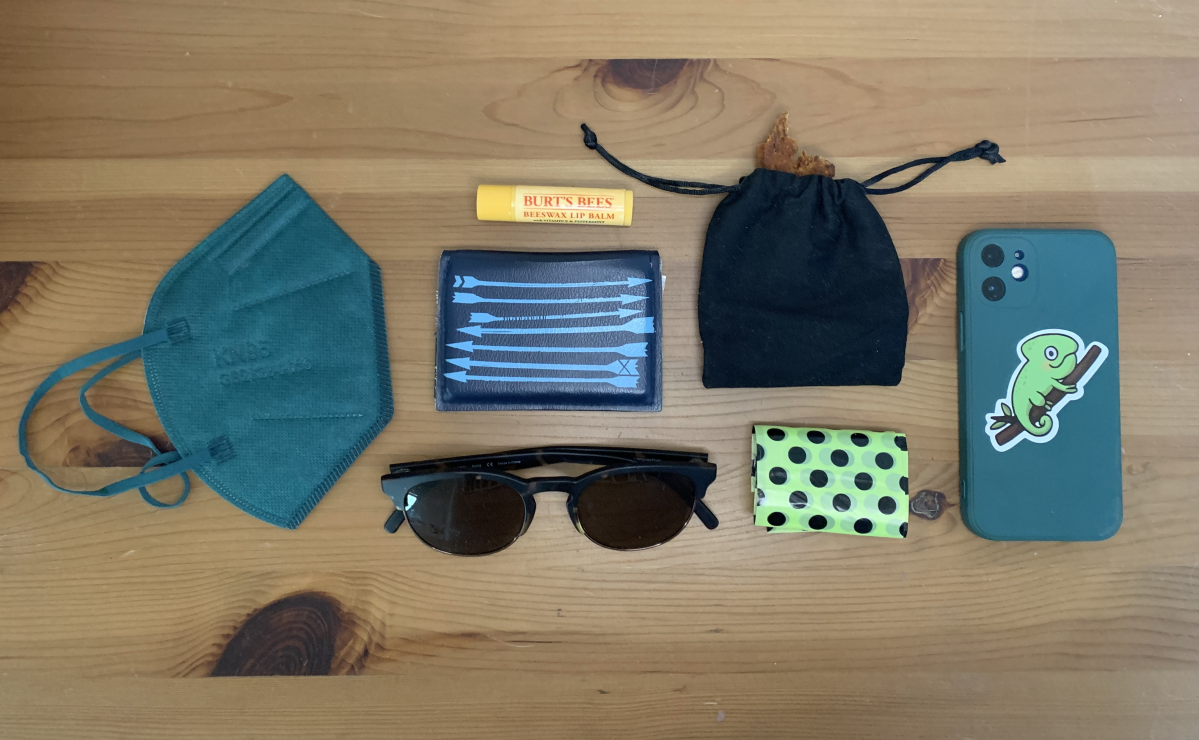 An arrangement of Darcy's things. There is a mask, a wallet, sunglasses, Burt's bees lip balm, a small menstrual cup bag for dog treets, dog poop bag and phone.