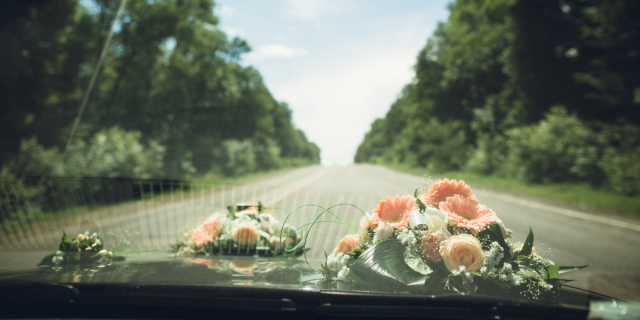 A dashboard with flowers resting on it. Through the windshield, there's an open road lined with trees.