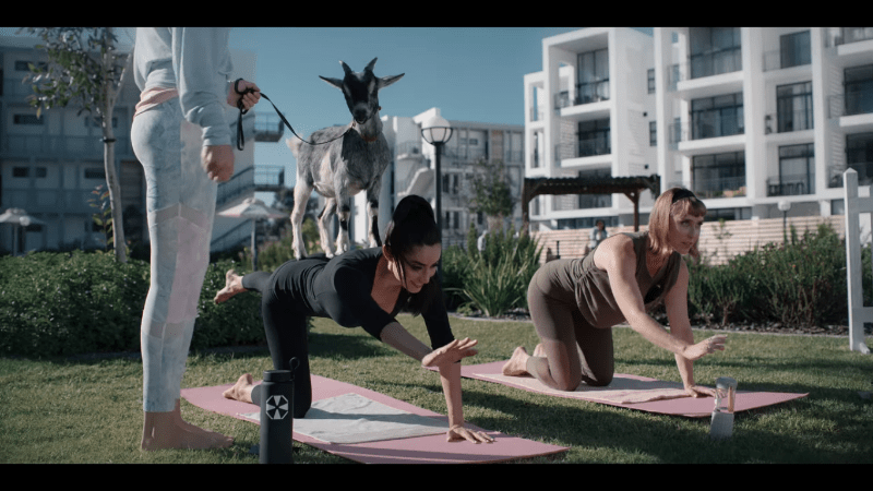 Evelyn and her wife doing goat yoga