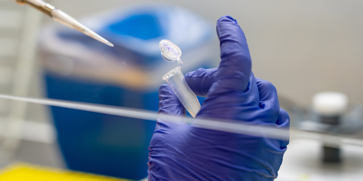 The hand of a person wearing a blue latex glove holds a clear test tube in a lab. A pointed plastic tube is visible in the upper left corner.