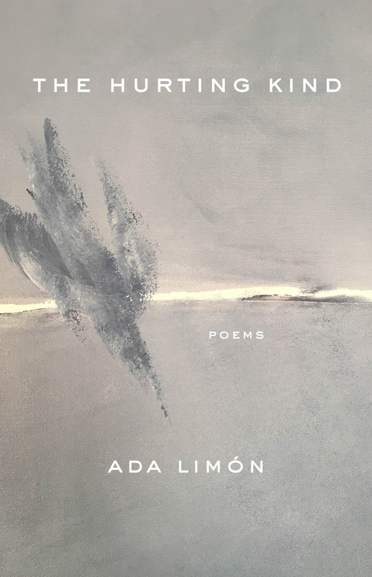 the cover of the hurting kind - features an abstract gray painting